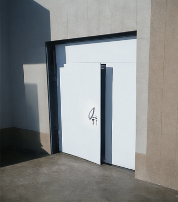 Дверь-перегородка Дверь-перегородка