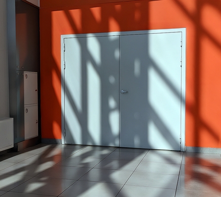 Дверь в ТРЦ Дверь в ТРЦ