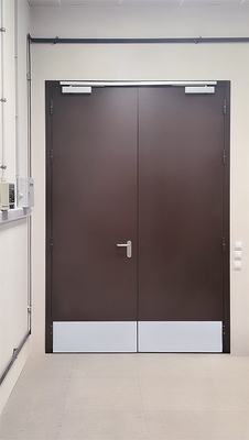 Коричневая двупольная дверь с отбойниками
