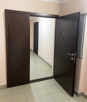 Тамбурная порошковая дверь