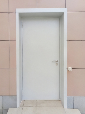 Металлическая уличная дверь