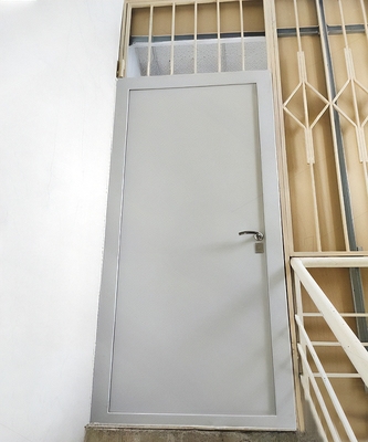 Стальная глухая дверь