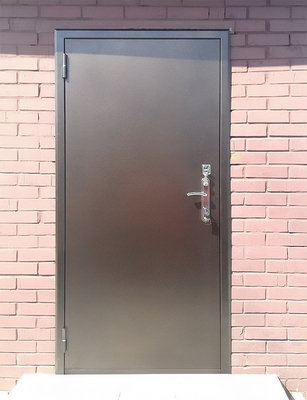 Порошковая уличная дверь