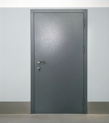 Входная серая дверь Входная серая дверь