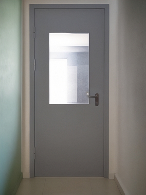 Остекленная стальная дверь Остекленная стальная дверь