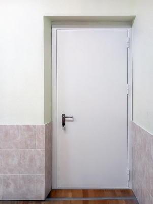 Одностворчатая дверь ДМП Одностворчатая дверь ДМП