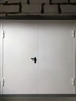 Фото двупольной двери