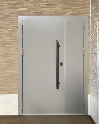 Полуторная дверь с длинной ручкой Полуторная дверь с длинной ручкой