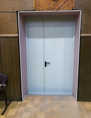 Глухая полуторная дверь