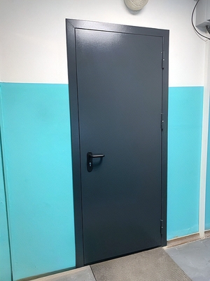 Однопольная дверь в МКД Однопольная дверь в МКД