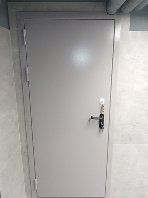 Металлическая глухая дверь Металлическая глухая дверь