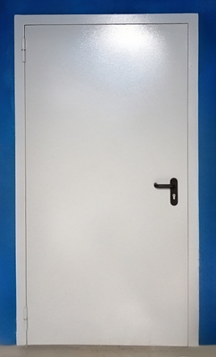 Противопожарная глухая дверь
