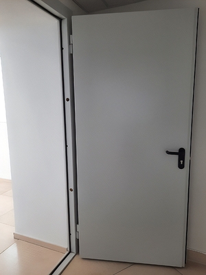 Глухая огнезащитная дверь