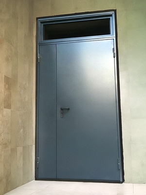 Серая с фрамугой и стеклом