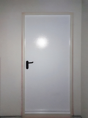 Однопольная дверь