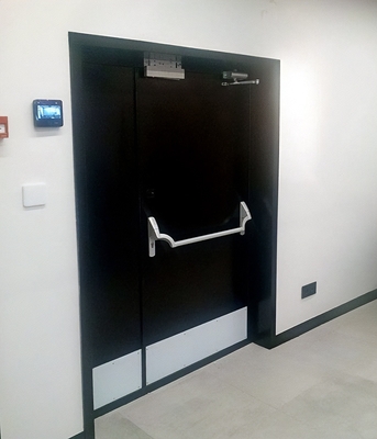 Дверь с антипаникой и отбойниками