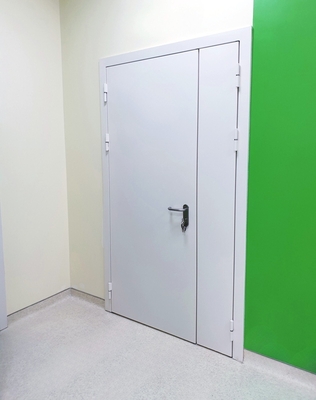 Глухая полуторная дверь