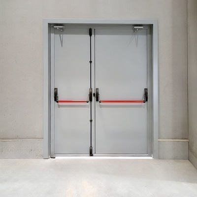 Дверь антипаника с доводчиками Дверь антипаника с доводчиками