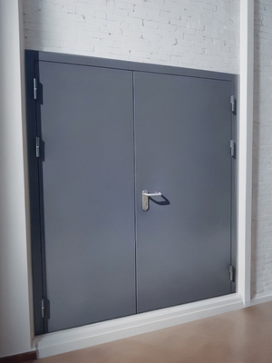 Двустворчатая серая дверь