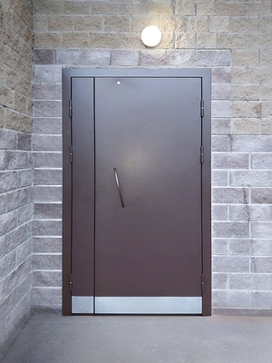 Дверь с отбойником для МКД