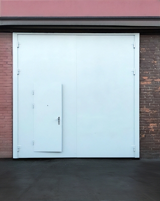 Ворота со встроенной дверью