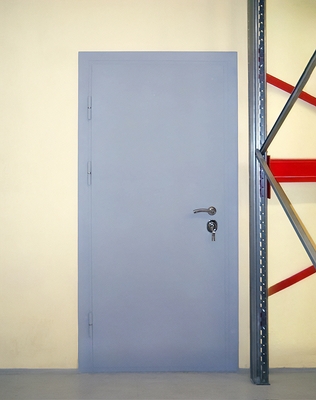 Однопольная стальная дверь