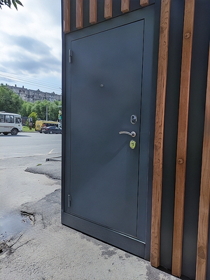 Стальная дверь