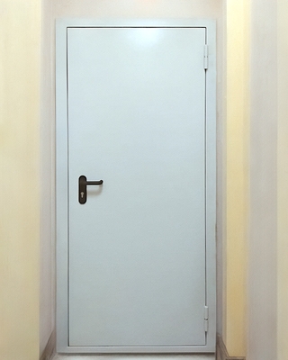 Стандартная огнезащитная дверь