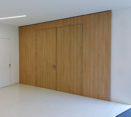 Двупольная дверь МДФ