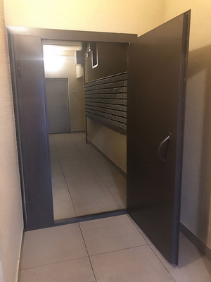 Тамбурная входная дверь