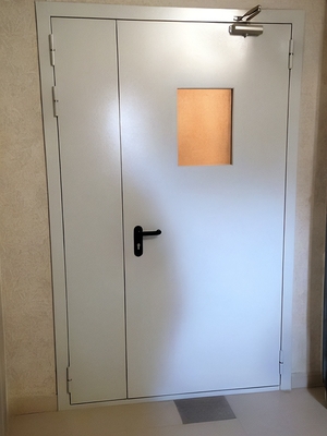 Дверь с окном и доводчиком