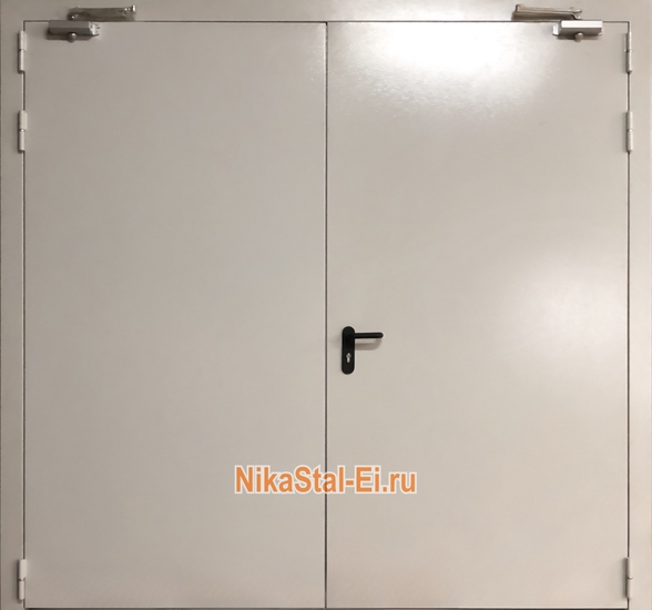 Двупольная дымогазонепроницаемая дверь eis-60