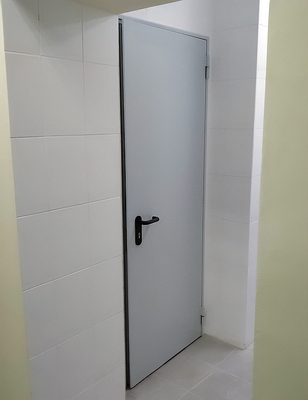 Глухая огнестойкая дверь