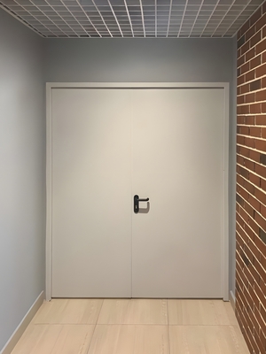 Глухая огнеупорная дверь