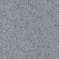 Крокодил серый