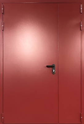 Полуторная глухая противопожарная дверь ei-60 окрас по RAL