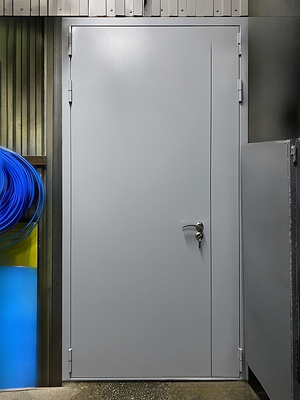 Полуторная техническая дверь