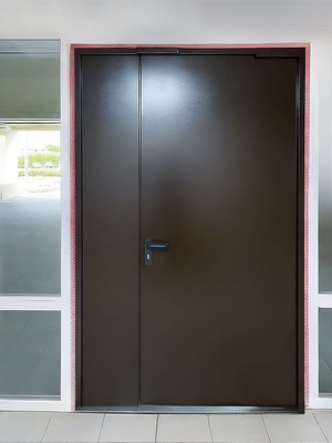 Стальная огнезащитная дверь