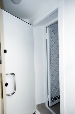 Стальная взломоустойчивая дверь